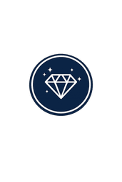 SYNTEQ icon