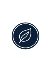 SYNTEQ icon